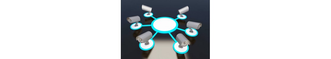 IP / Réseau